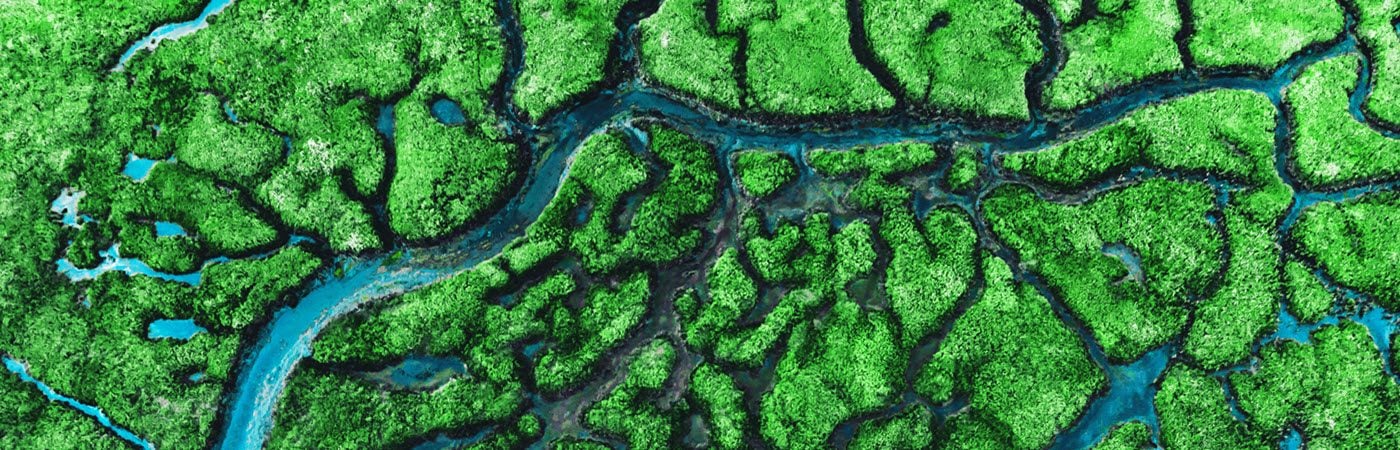 Aerial view of river meandering
